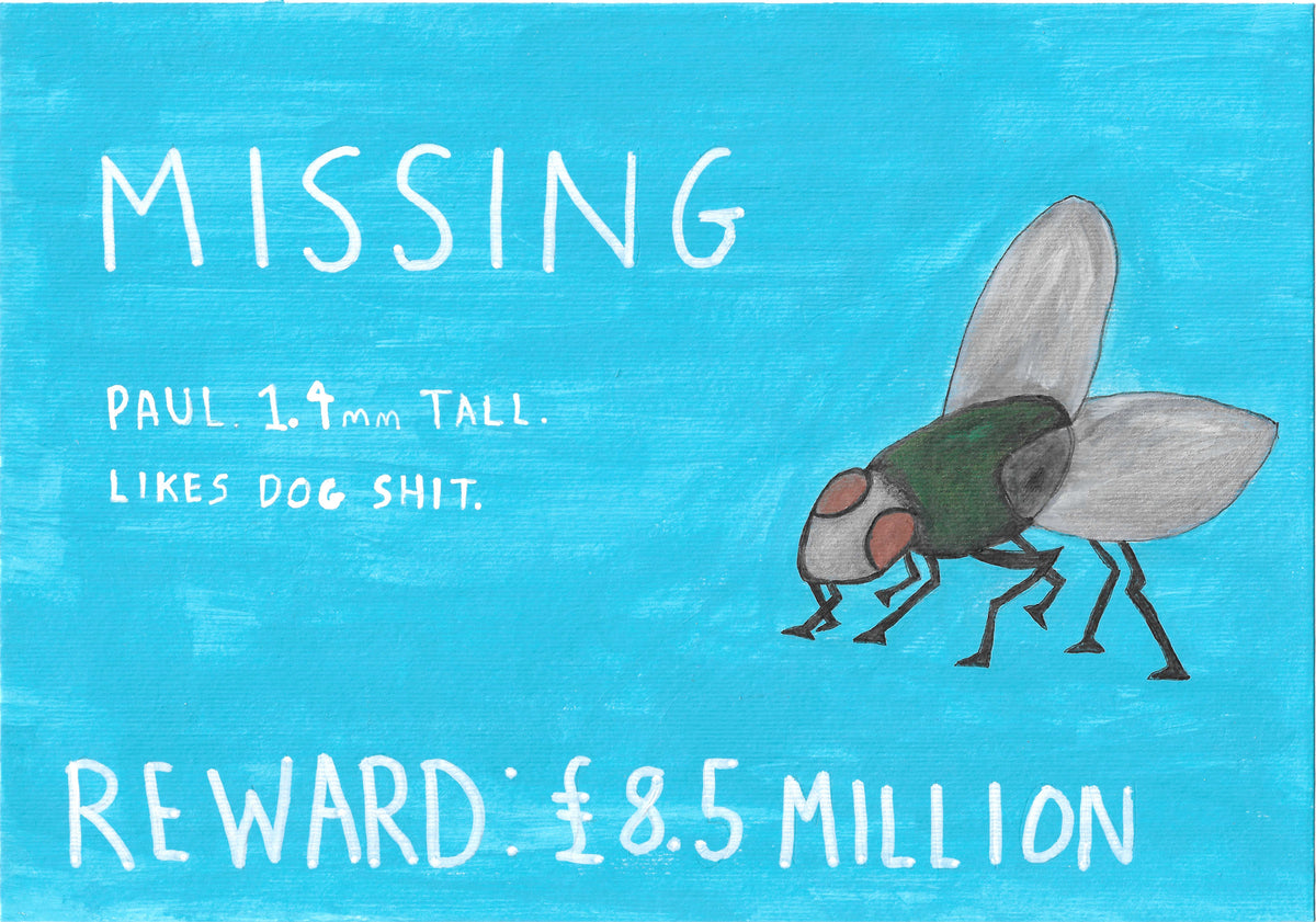 ORIGINAL Missing Fly